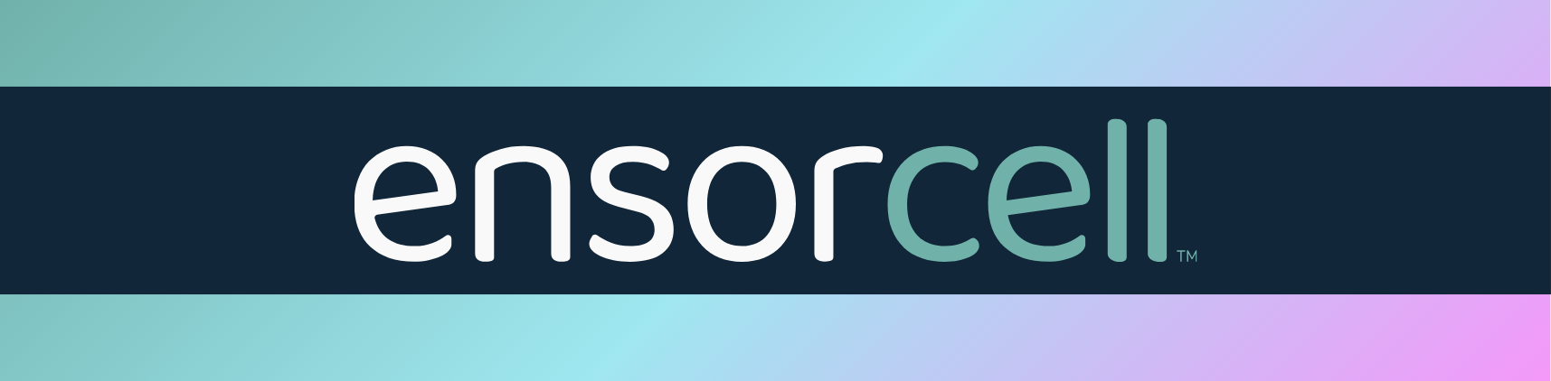 Ensorcell logo in white and teal with gradient background