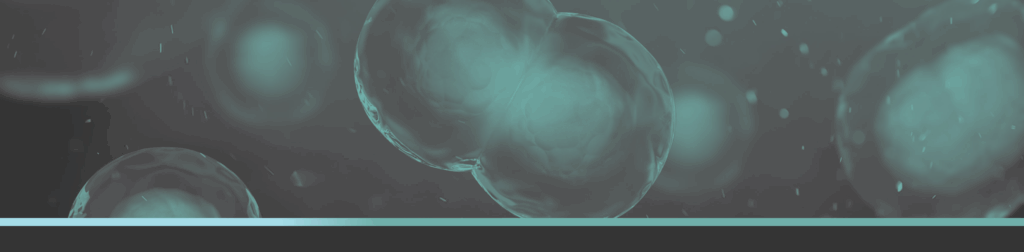 Mammalian cells splitting in a teal overtone