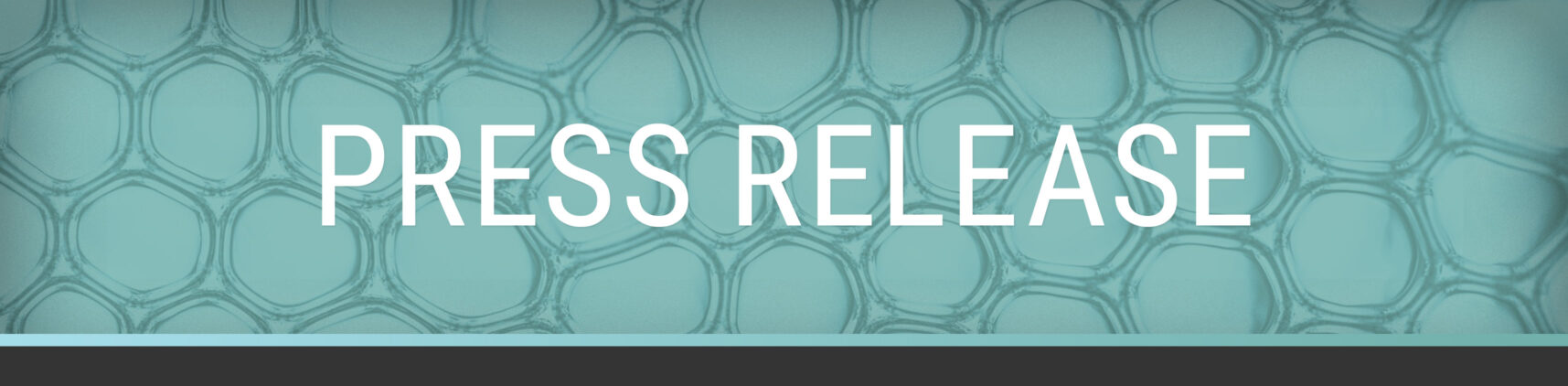 In a teal banner of teal-colored cells, lies the title "Press Release" in all caps, in white.