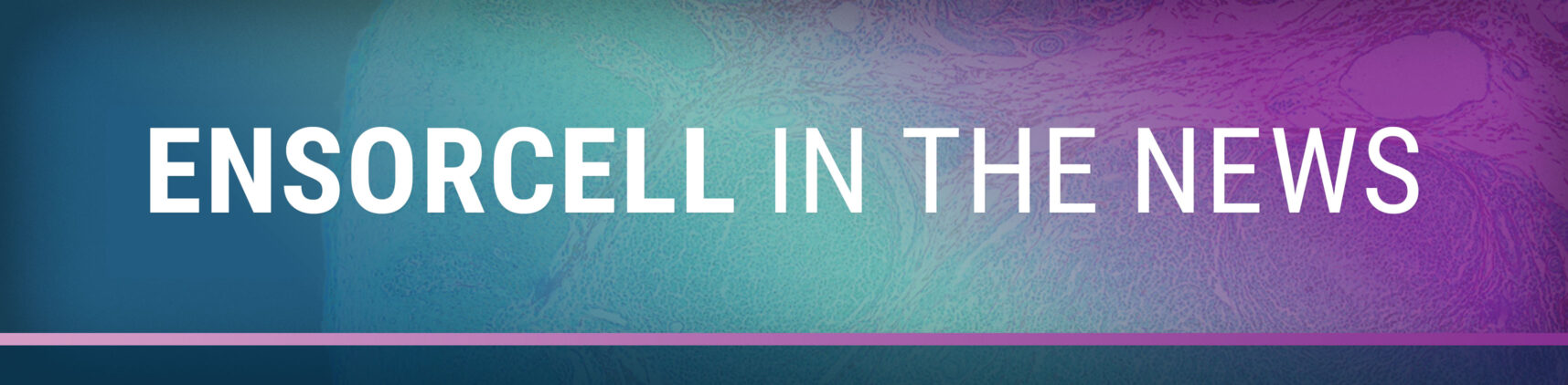 A blue, teal, pink gradient image highlights the title "Ensorcell in the news"